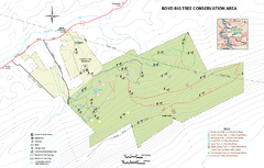 Boyd Big Tree Preserve Conservation Area map
