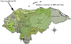 Coffee Plantations of Honduras Map