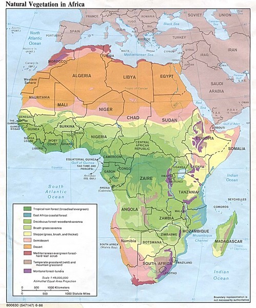 Africa Natural Vegetation Map