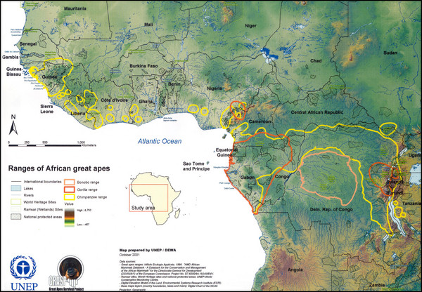 African Great Apes Habitat Range Map