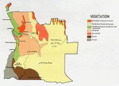 Angola vegetation Map