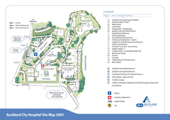 Auckland City Hospital Site Map 2005