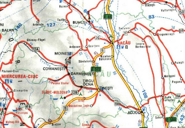 Bacau Map