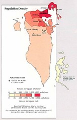 Bahrain Population Density Map