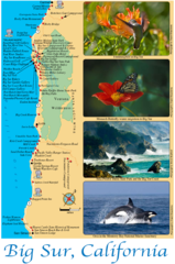 Big Sur Map