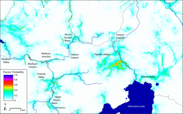 Bison Travel in Yellowstone National Park Map