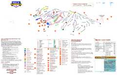 Boyne Mountain Ski Trail Map