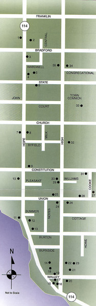 Bristol, England Tree Map