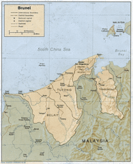 Brunei Political Map