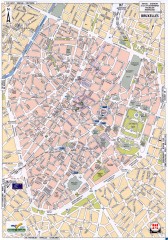 Brussels Street Map