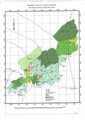 Budongo Forest Map