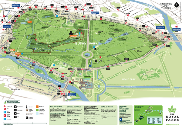 Bushy Park Map