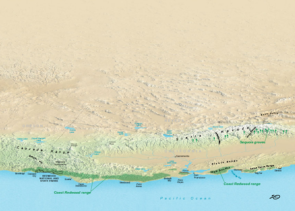 California Redwood Range Map