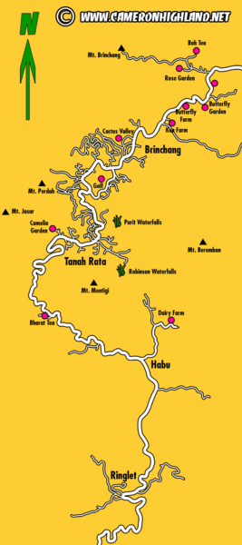 Cameron Highlands Map