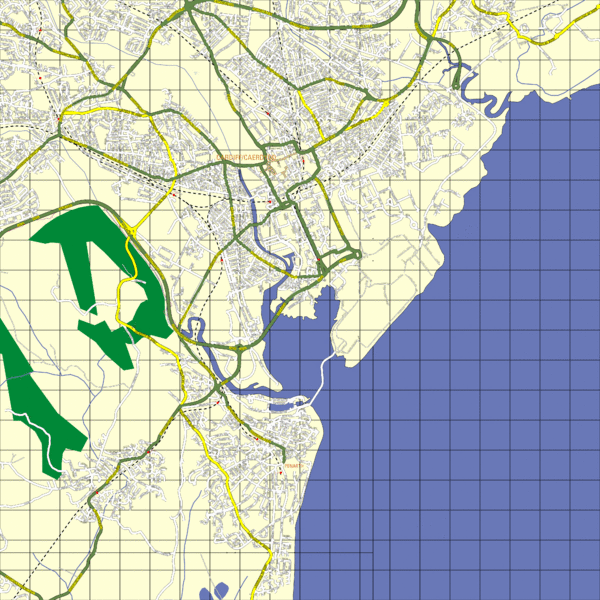 Cardiff Street Map