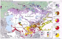 Central Asia Ethnic Groups Map