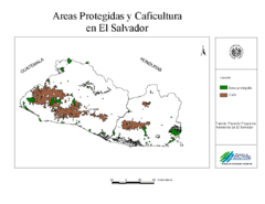 El Salvador coffee growing areas Map