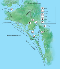 Estero Bay Preserve State Park Map