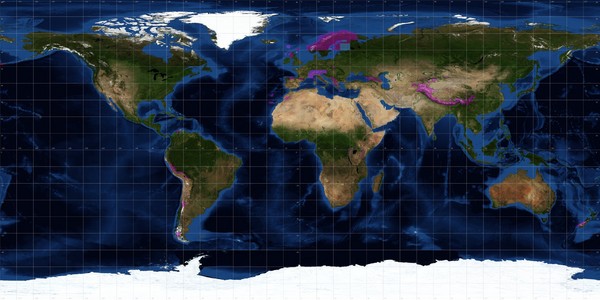Ferranti's DEM World Map