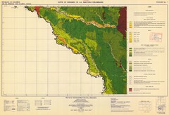 Forest Map of the Colombian Amazonia