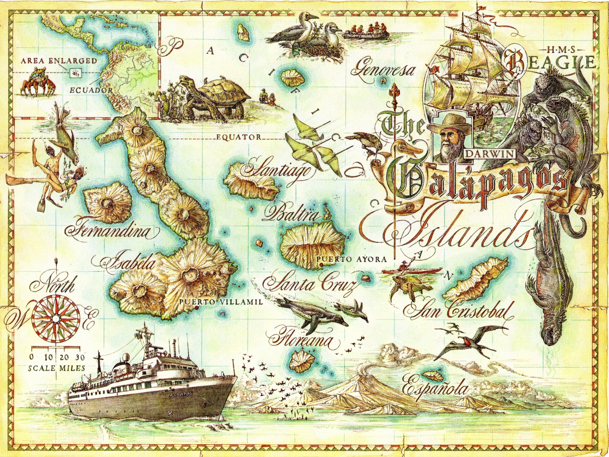 Galapagos Islands Galapagos Islands Island Map Galapagos