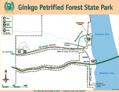 Ginkgo Petrified Forest State Park Map