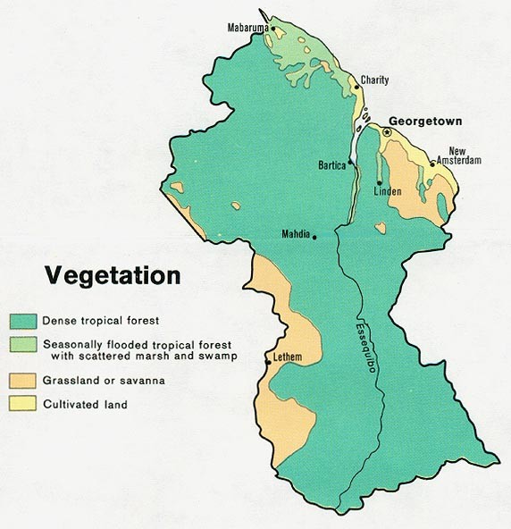 Guyana - Vegetation, 1973 Map