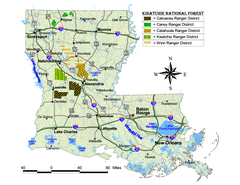 Kisatchie National Forest Map
