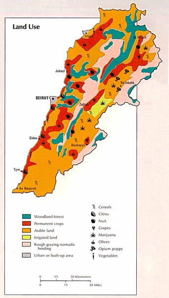Lebanon Land Use Map