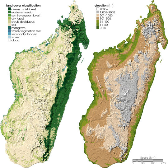 Madagascar land cover and elevation Map