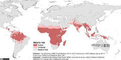 Malaria Risk Map