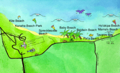 Maui North Shore Beach Map Maui North Shore Beach Map
