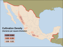 Mexican Cannabis Density Map Mexican Cannabis Density Map
