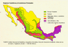 Mexican Ecosystem Map Mexican Ecosystem Map
