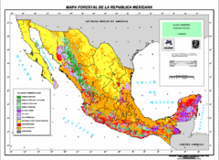 Mexican Forest Map Mexican Forest Map