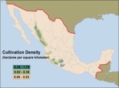 Mexican Poppy/Opium Cultivation Density Map