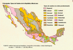 Mexico Soils Map