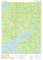 Minnesota Mountain Quad - Shasta Lake Map