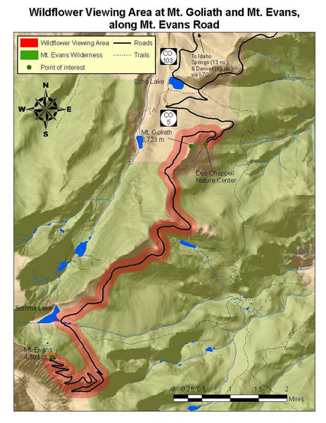 Mt. Evans Road Wildflower Viewing Map