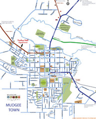 Mudgee Town Map