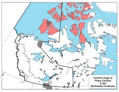 Peary Caribou Range Map