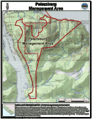 Petersburg, Alaska Tourist Map