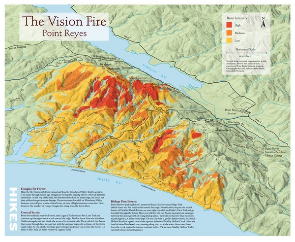 Point Reyes Vision Fire Map