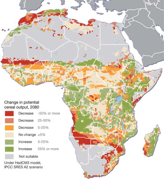 Projected climate change impacts for agriculture in Africa, in potential cereal output for 2080 Map