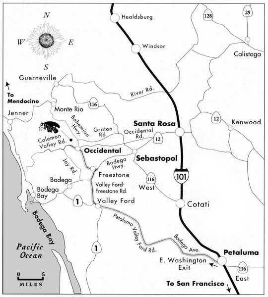 Sebastopol Map