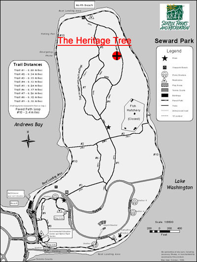 Seward Park Trails Map