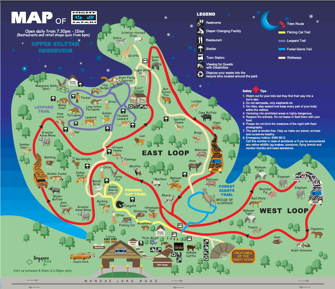 singapore zoo night safari map