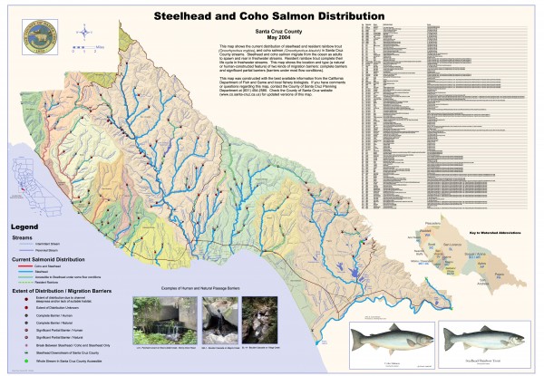 Steelhead and Coho Salmon Distribution Map - Santa Cruz County