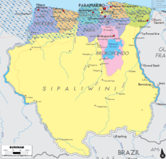 Surinam political Map