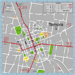 Temora Town Map
